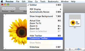 View Customize Toolbar