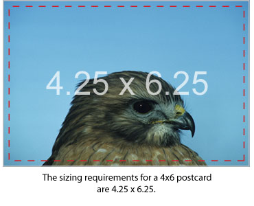 Sizing Requirements For 4x6 Postcard