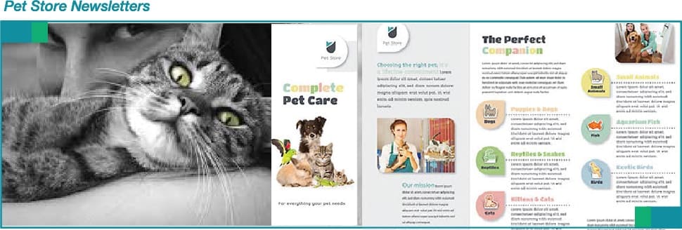 Pet Shop Business Marketing